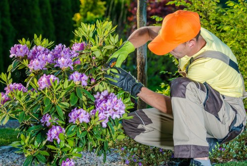 Eco-friendly landscaping practices in Twickenham