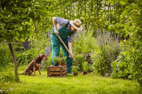 Gardener weeding a lush Twickenham garden