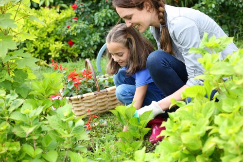 Seasonal lawn care services in Twickenham
