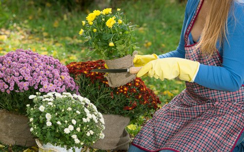 Environmentally friendly tree care practices