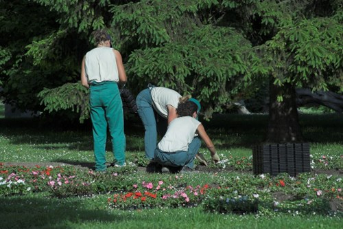 Efficient irrigation system in a Twickenham garden