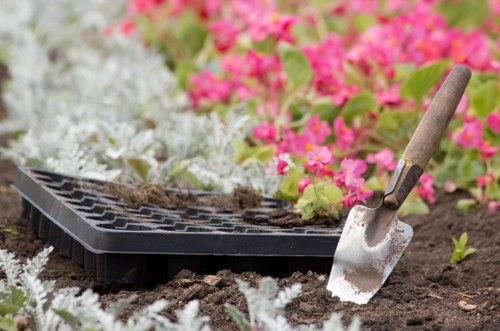 Eco-friendly garden clearance practices