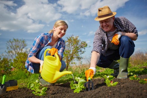 Transform your outdoor space with Twickenham Gardening Services