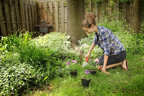 Gardener speaking with a client about accessible service options