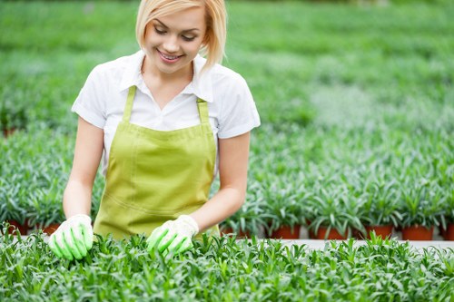 Seasonal gardening maintenance in Twickenham