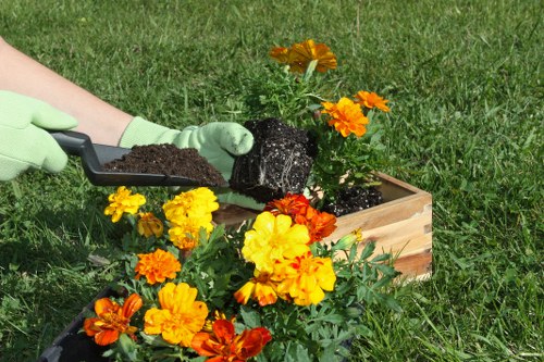 Eco-friendly lawn mowing practices in Twickenham